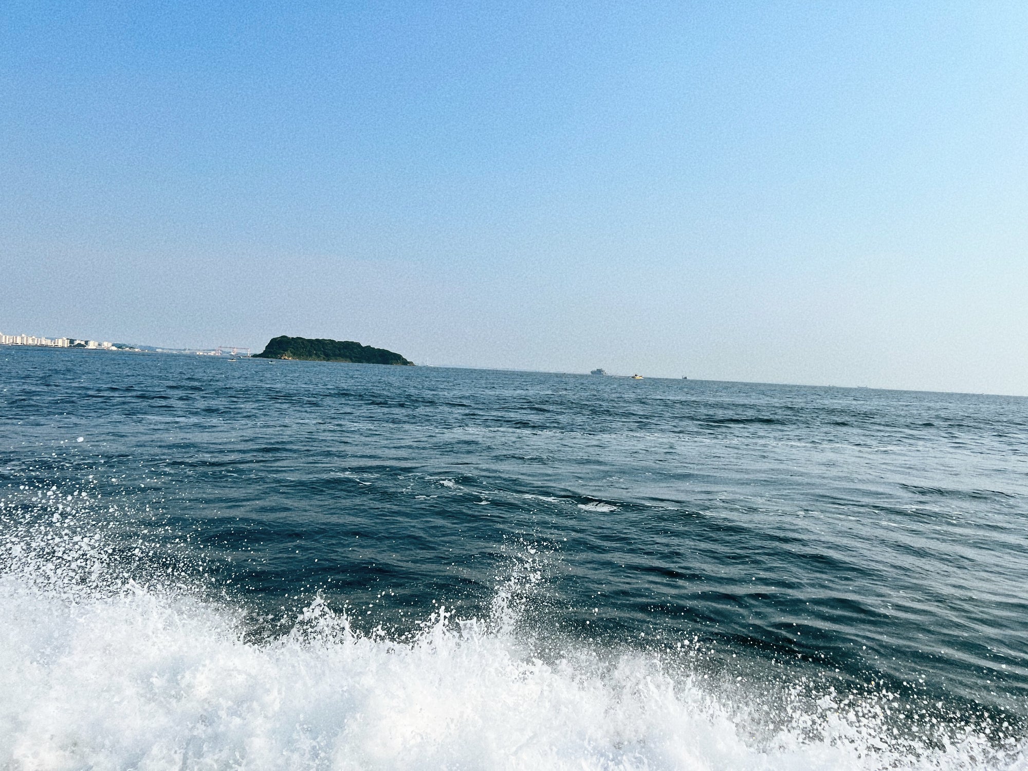 海釣り🐟【タチウオ編】